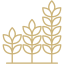 sztetangazdasag-icon